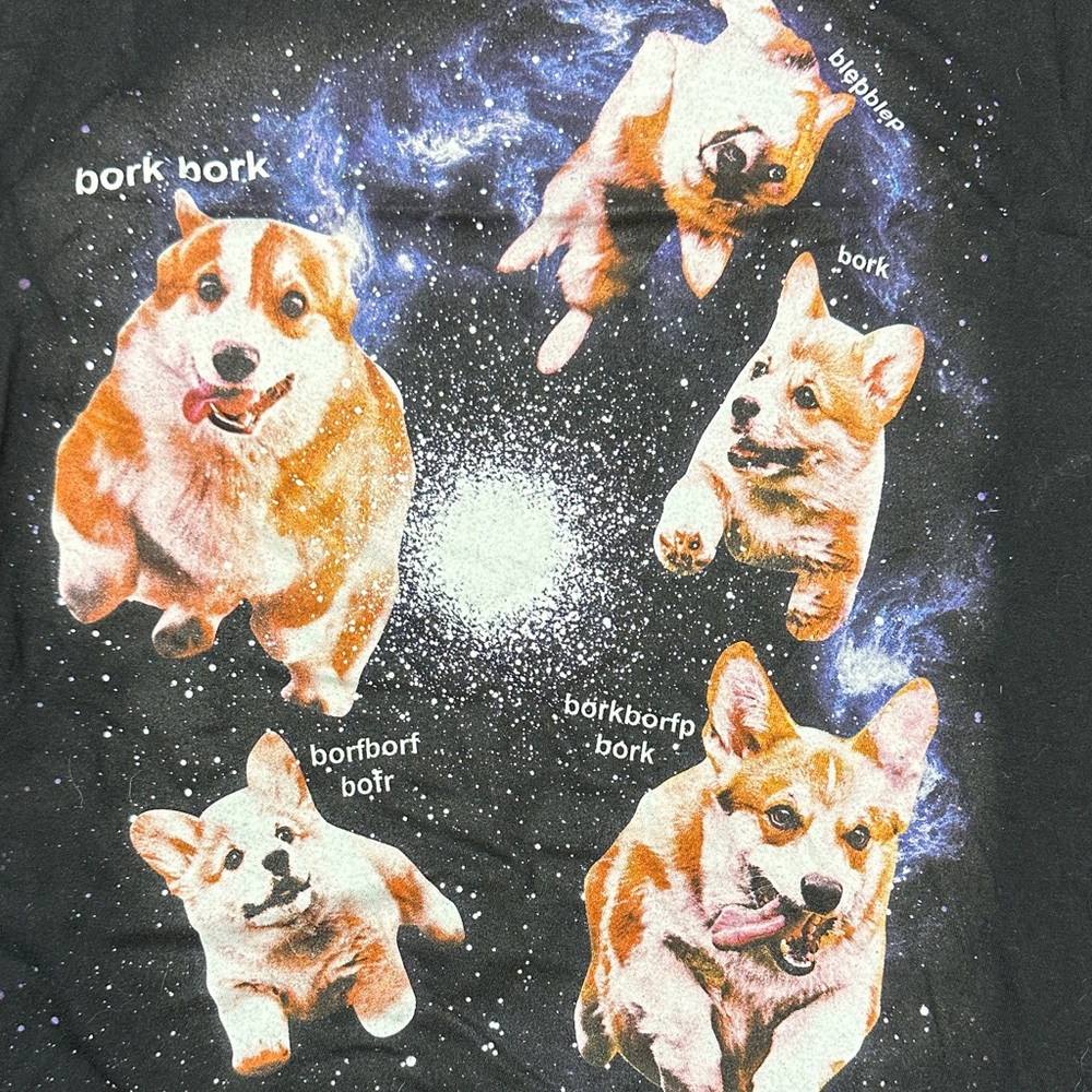 Black Matter Black Tee with Corgi Galaxy Print - Picture 3 of 7